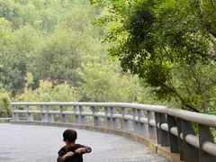 -西湖风景区-江洋畈生态公园