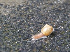 -颐和路民国时期公馆风貌区