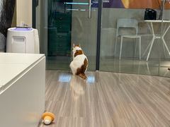 -嘉亿台球俱乐部(观前店)