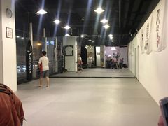 -IKMF马伽术KRAV MAGA以色列防身术