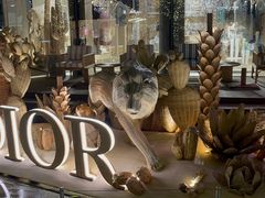 -深圳湾万象城(南山店)