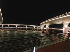 -演武大桥观景平台