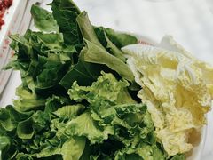 -八合里潮汕鲜牛肉火锅(吉大店)