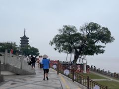 -观潮胜地公园