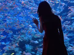 -成都浩海立方海洋公园