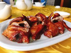 乳鸽-绿华园休闲山庄