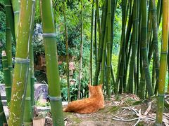 -三苏祠