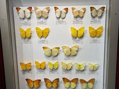 -吉林省自然博物馆