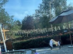 -崇阳三特浪口温泉