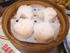 -捷信牛奶甜品世家(五道口店)