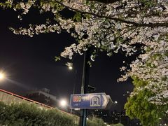 -杨高南路(地铁站)