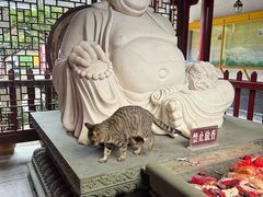 -普陀山慧济禅寺