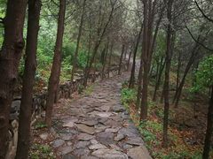 -阳台山自然风景区