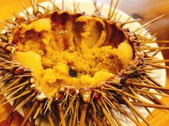 -海胆小馆(东北水饺·春柳店)