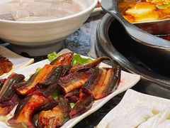 鳝鱼-重庆老火锅正火哥(秭归店)