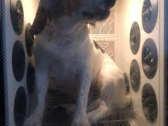 -美美酱宠物(外运路小区店)