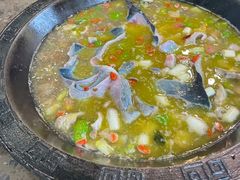 -鲜椒鱼·雅安地标性美食