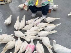 -砂之船奥莱(南京江宁店)