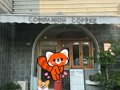 -COMPANION COFFEE小伴咖啡