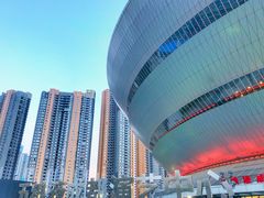 -成都金融城演艺中心