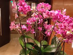 -宁波香格里拉大酒店