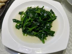 清炒田七苗-敏珠拉姆藏餐·南京厨房(富春江东街店)