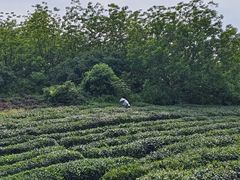 -会稽山峡洞漂流-上青古道