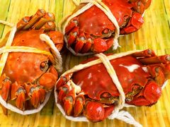 -蟹天蟹地农家菜·阳澄湖大闸蟹(浅水湾店)