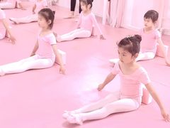 -桃子公主舞蹈培训(万柳校区)