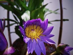 -拂晓山房·私房川菜(西门店)