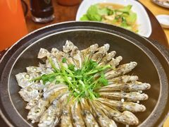 -巫记鸡饭店