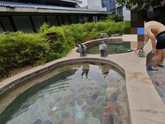 -中家鑫园温泉酒店鑫悦汤泉