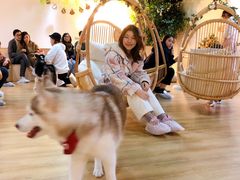 -Husky Go! 哈士奇体验馆·宠物咖啡厅狗咖