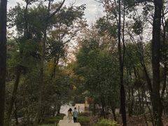 -岳麓山风景名胜区