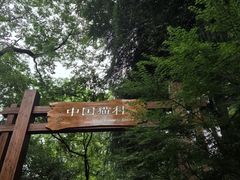 -红山森林动物园