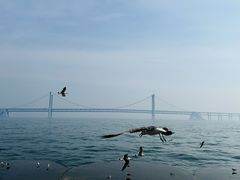 -星海广场