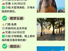 -亚龙湾热带天堂森林公园