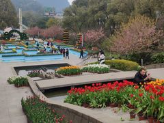 -南山植物园