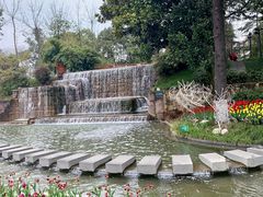 -成飞公园