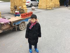 -会龙寺