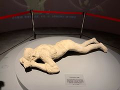 -盘龙城国家考古遗址公园