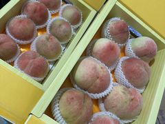 -南汇水蜜桃采摘(大团店)