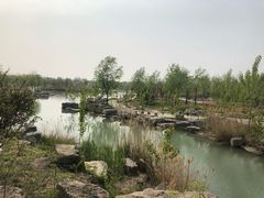 -南湖国家城市湿地公园