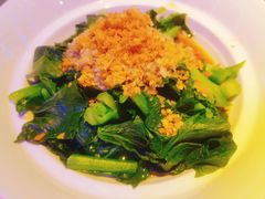 油麦菜-桂满陇天书(南京德基旗舰店)