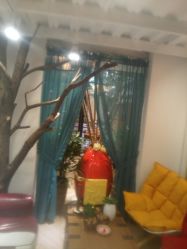 -渼树MSUTREE连锁沙龙