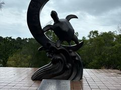 -广东惠东海龟国家级自然保护区