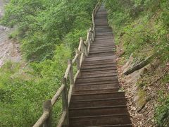 -内乡宝天曼生态旅游区