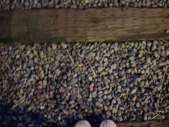 -首钢一高炉·SoReal科幻乐园