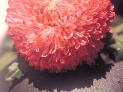 -晓长安·新陕菜(曲江店)