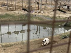 -河北村民俗体验园